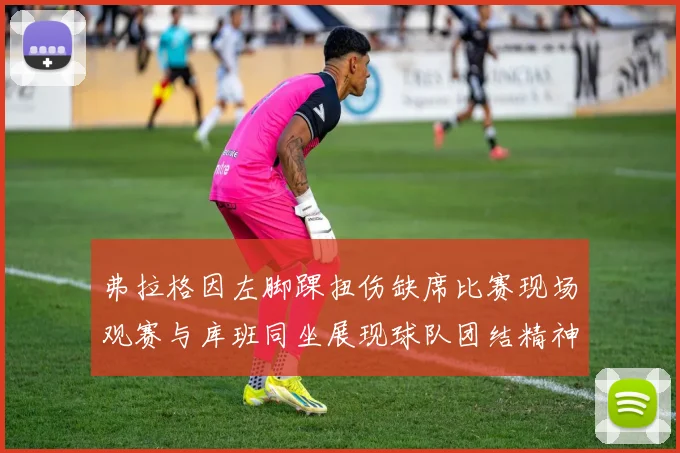 弗拉格因左脚踝扭伤缺席比赛现场观赛与库班同坐展现球队团结精神